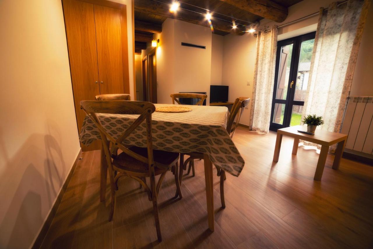 Apartamentos Camino De La Val Borau Luaran gambar